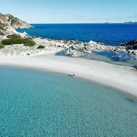 Vento D'estate וילסימיוס