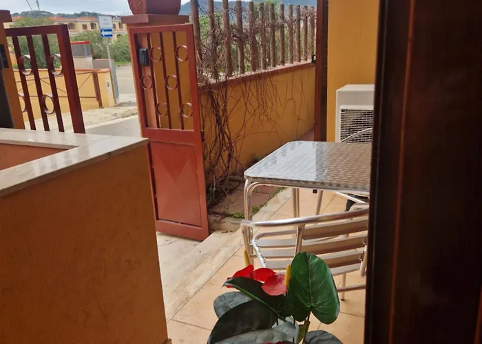 Vento D'estate 维拉西米乌斯